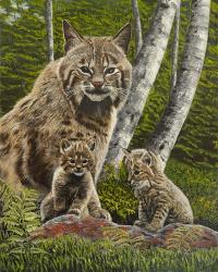 Bobcat with Kits | Obraz na stenu