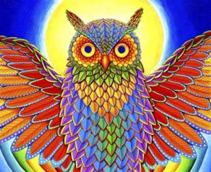 Rainbow Owl | Obraz na stenu