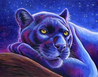 Stargazing Colorful Black Leopard | Obraz na stenu