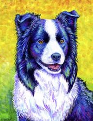 Border Collie | Obraz na stenu