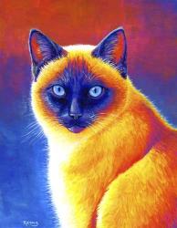 Colorful Siamese Cat | Obraz na stenu