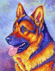 German Shepherd | Obraz na stenu