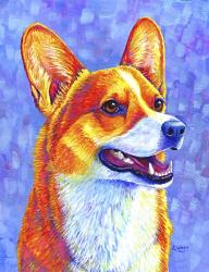 Pembroke Welsh Corgi | Obraz na stenu