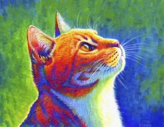 Rainbow Cat | Obraz na stenu