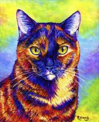 Colorful Tortoiseshell Cat | Obraz na stenu