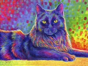 Psychedelic Rainbow Black Cat | Obraz na stenu