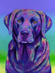 Purple Chocolate Labrador Retriever | Obraz na stenu