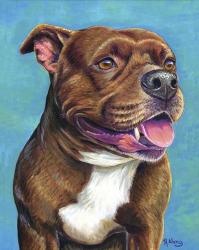 Staffordshire Bull Terrier | Obraz na stenu