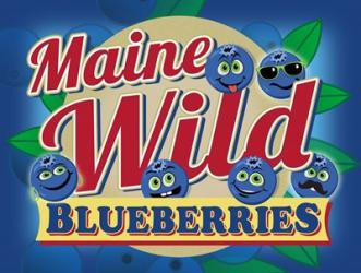 Maine Wild Blueberries | Obraz na stenu