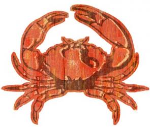 Crab Wood Cut Out | Obraz na stenu