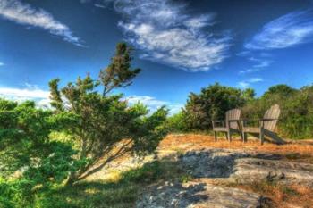 Chairs And Windblown Tree | Obraz na stenu