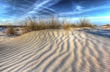 Dune Lines | Obraz na stenu