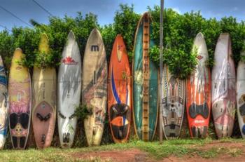 Surf Boards | Obraz na stenu