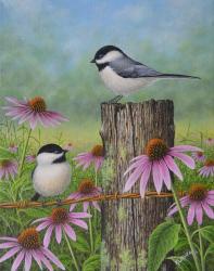 Chickadees and Coneflowers | Obraz na stenu