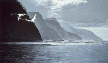 White Tailed Tropic Birds | Obraz na stenu