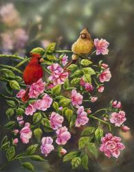 Cardinals with Roses | Obraz na stenu