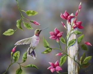 Hummingbird with Flowers | Obraz na stenu