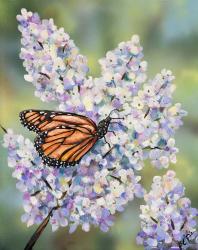 Butterfly with Hydrangea | Obraz na stenu