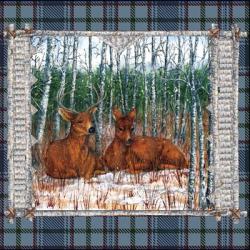 Birch Frame Plaid- Deer Nature | Obraz na stenu