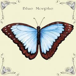 Butterfly Blue Morphe | Obraz na stenu