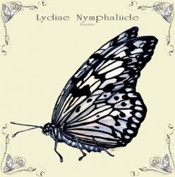 Butterfly Lydiae Nymphaliide Profile | Obraz na stenu