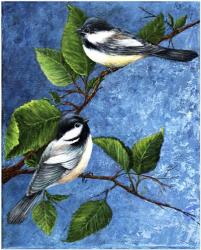 Chickadees | Obraz na stenu