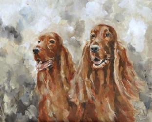 Two Irish Setters | Obraz na stenu