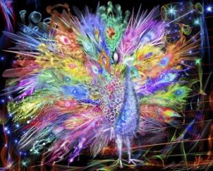 Peacock Nexsus | Obraz na stenu