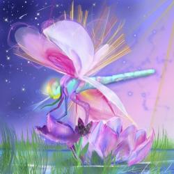 Dragonfly Lotus | Obraz na stenu