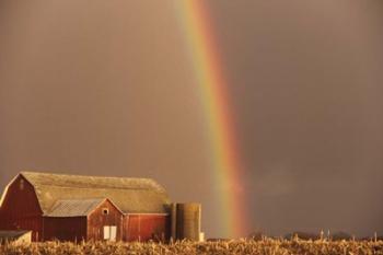 Rainbow | Obraz na stenu