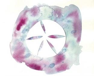 Watercolor Sand Dollar | Obraz na stenu