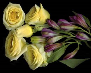 Yellow Roses With Alstromeria | Obraz na stenu