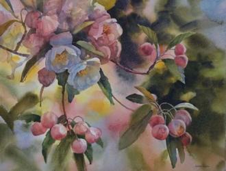 Crab Apple Blossoms II | Obraz na stenu