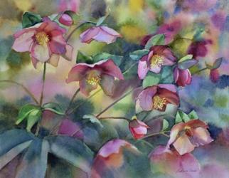 Hellebores | Obraz na stenu