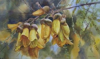 Kowhai Tree Blossoms I | Obraz na stenu