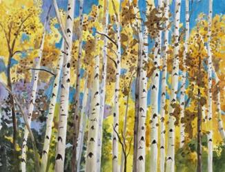 Aspen In Blue Sky | Obraz na stenu