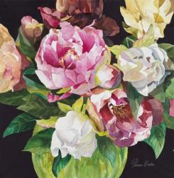 Mixed Peonies | Obraz na stenu