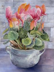 Cyclamen in Pot | Obraz na stenu