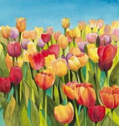 Tulips in Blue Sky | Obraz na stenu