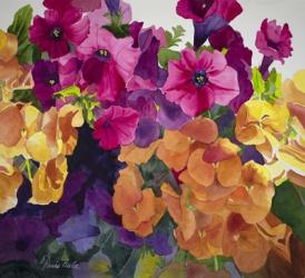 Petunias and Pansies | Obraz na stenu