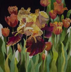 Iris and Tulips | Obraz na stenu