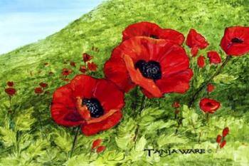 Poppy Field | Obraz na stenu