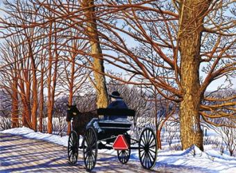 Buggy Ride, Leon, NY | Obraz na stenu