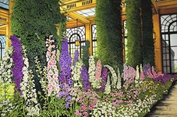 Longwood Gardens - Delphinium, Pennsylvania | Obraz na stenu