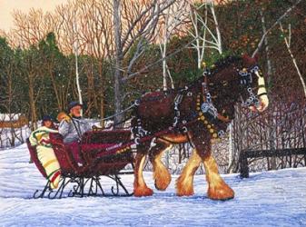 Sleigh Ride At Letchworth Park, Ny | Obraz na stenu