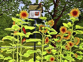 Sunflowers And Birdhouse | Obraz na stenu