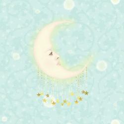 Serene Luna | Obraz na stenu