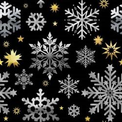 Park Avenue Snowflake Pattern | Obraz na stenu