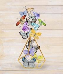 Rustic Butterfly Terrarium | Obraz na stenu