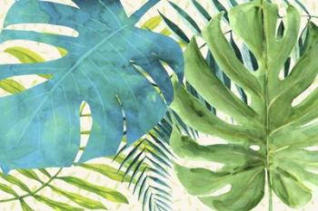 Rainforest Canopy | Obraz na stenu